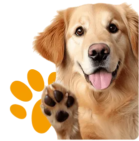 Más de 15 años de trayectoria - Zona Mascotas